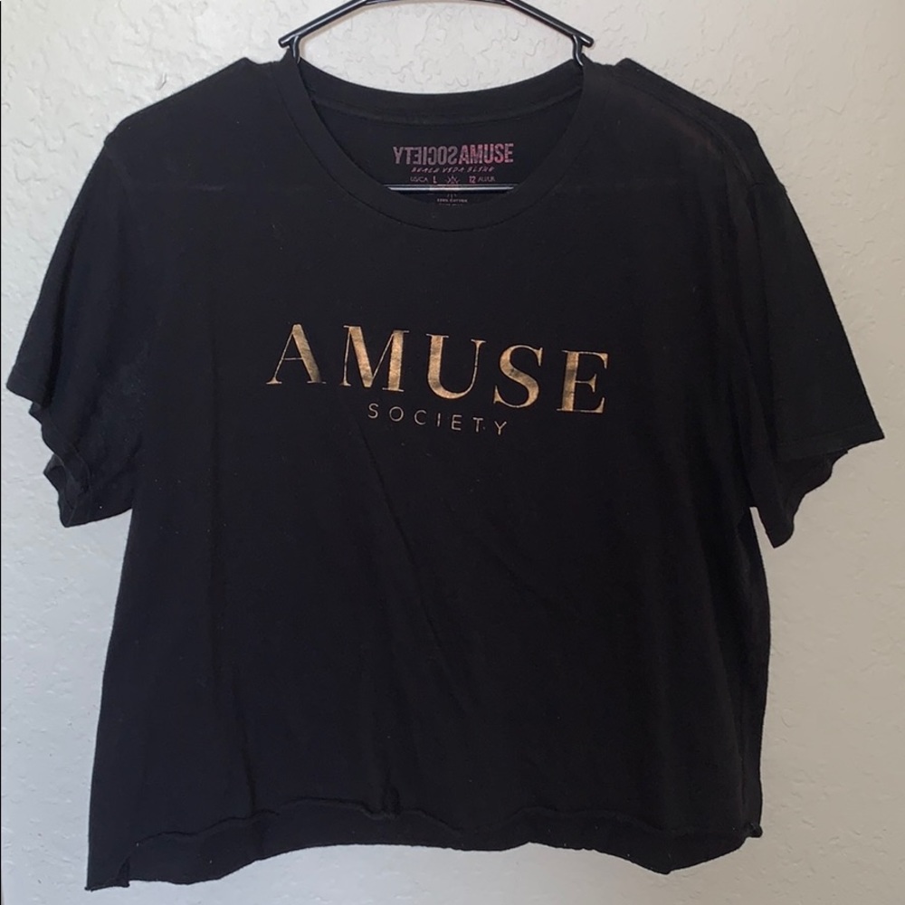 Amuse Society crop top